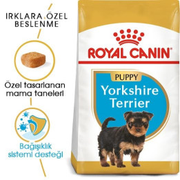 Yorkshire Terrier Puppy Yavru Köpek Kuru Maması 1.5 kg