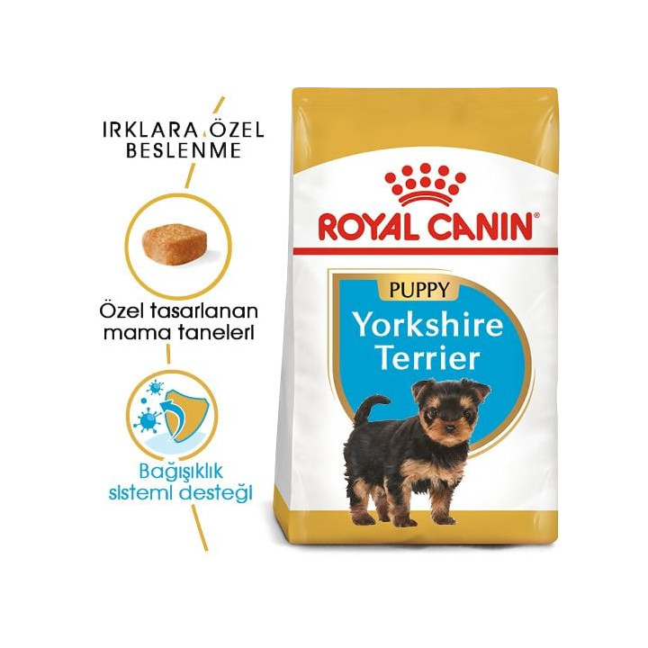 Yorkshire Terrier Puppy Yavru Köpek Kuru Maması 1.5 kg