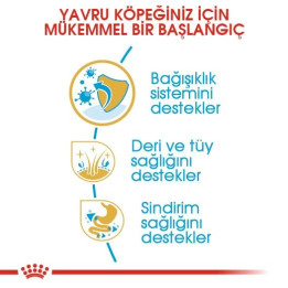 Yorkshire Terrier Puppy Yavru Köpek Kuru Maması 1.5 kg