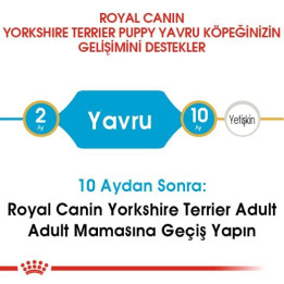 Yorkshire Terrier Puppy Yavru Köpek Kuru Maması 1.5 kg