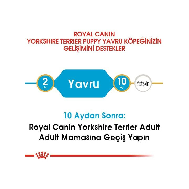 Yorkshire Terrier Puppy Yavru Köpek Kuru Maması 1.5 kg