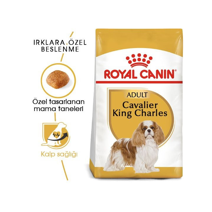 Cavalier King Charles Adult Yetişkin Köpek Kuru Maması 1.5 kg