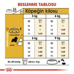 Cavalier King Charles Adult Yetişkin Köpek Kuru Maması 1.5 kg