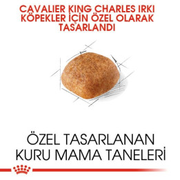 Cavalier King Charles Adult Yetişkin Köpek Kuru Maması 1.5 kg
