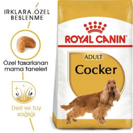 Cocker Adult Yetişkin Köpek Kuru Maması 3 kg