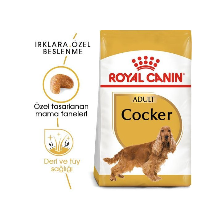 Cocker Adult Yetişkin Köpek Kuru Maması 3 kg