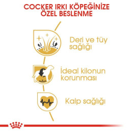 Cocker Adult Yetişkin Köpek Kuru Maması 3 kg