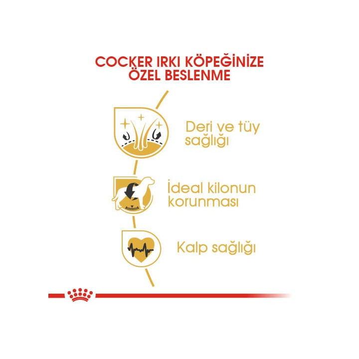 Cocker Adult Yetişkin Köpek Kuru Maması 3 kg