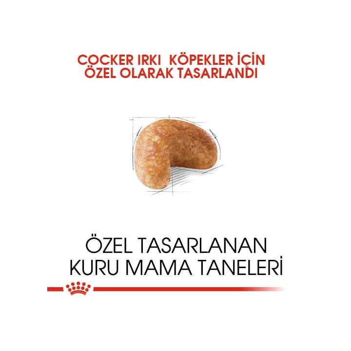 Cocker Adult Yetişkin Köpek Kuru Maması 3 kg
