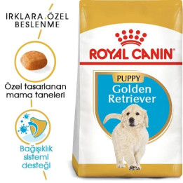 Golden Retriever Puppy Yavru Köpek Kuru Maması 12 kg