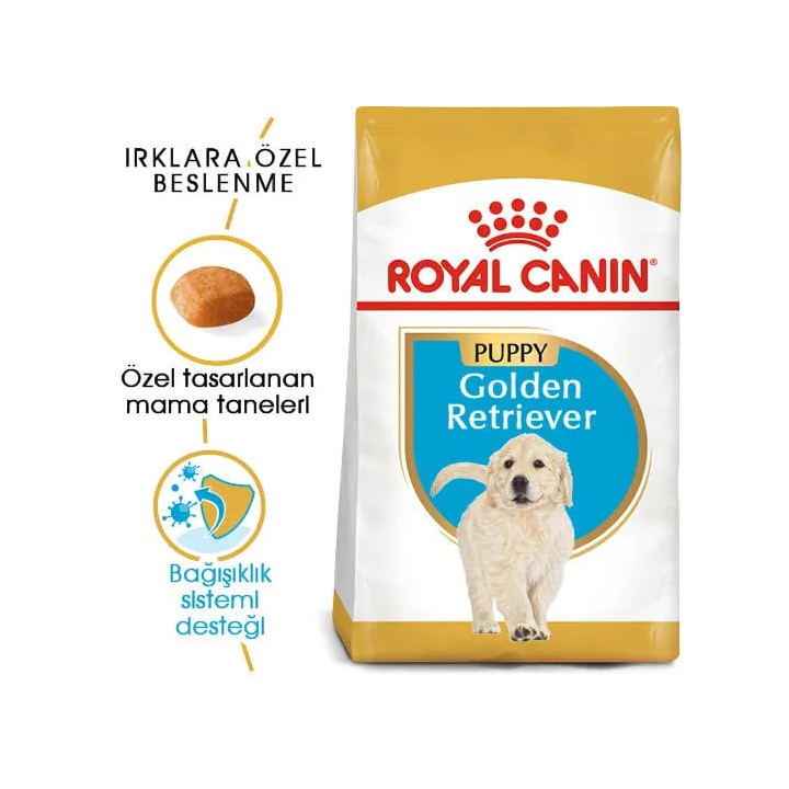 Golden Retriever Puppy Yavru Köpek Kuru Maması 12 kg