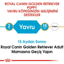 Golden Retriever Puppy Yavru Köpek Kuru Maması 12 kg