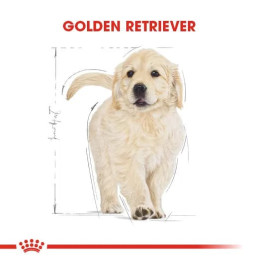 Golden Retriever Puppy Yavru Köpek Kuru Maması 12 kg