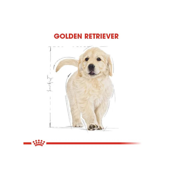 Golden Retriever Puppy Yavru Köpek Kuru Maması 12 kg
