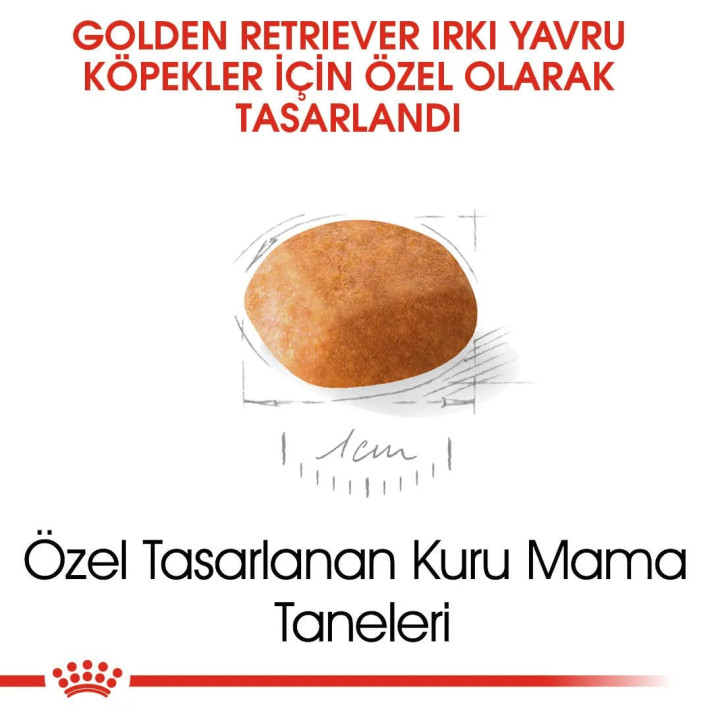 Golden Retriever Puppy Yavru Köpek Kuru Maması 12 kg