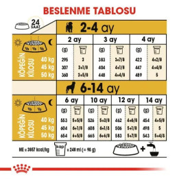 Rottweiler Puppy Yavru Köpek Kuru Maması 12 kg