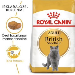 British Shorthair Adult Yetişkin Kedi Kuru Maması 400 g