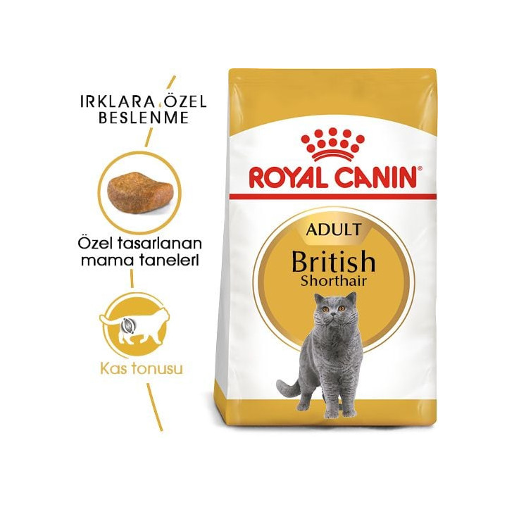 British Shorthair Adult Yetişkin Kedi Kuru Maması 400 g