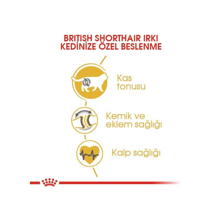 British Shorthair Adult Yetişkin Kedi Kuru Maması 400 g