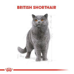 British Shorthair Adult Yetişkin Kedi Kuru Maması 400 g