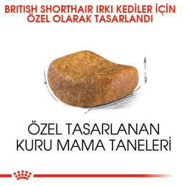 British Shorthair Adult Yetişkin Kedi Kuru Maması 400 g