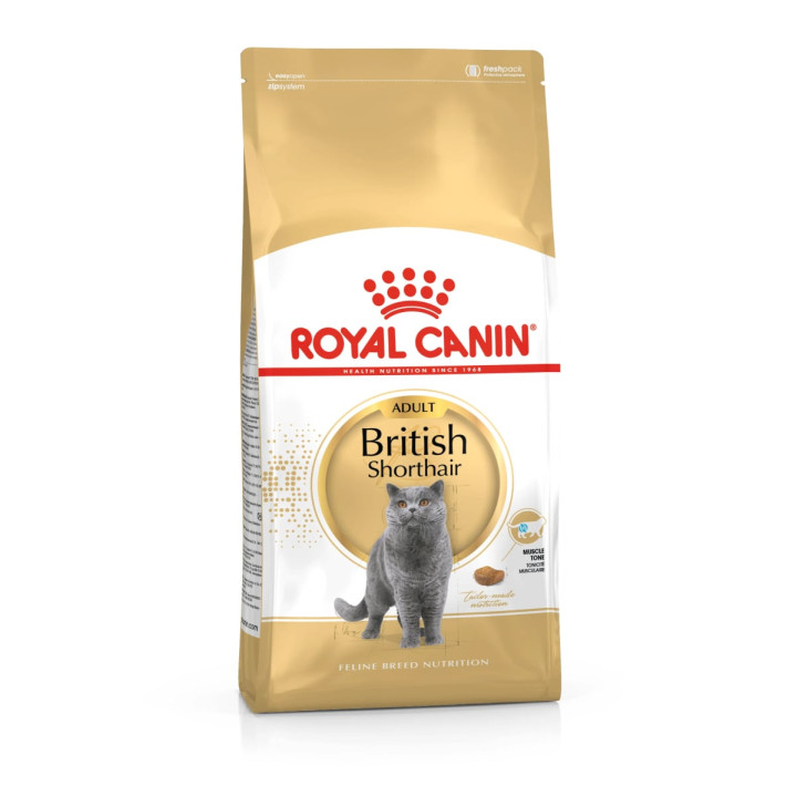 British Shorthair Adult Yetişkin Kedi Kuru Maması 2 kg