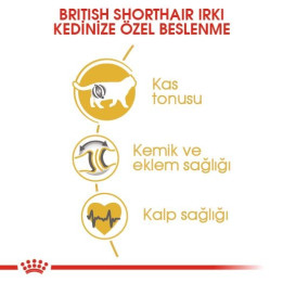 British Shorthair Adult Yetişkin Kedi Kuru Maması 4 kg