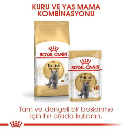 British Shorthair Adult Yetişkin Kedi Kuru Maması 4 kg