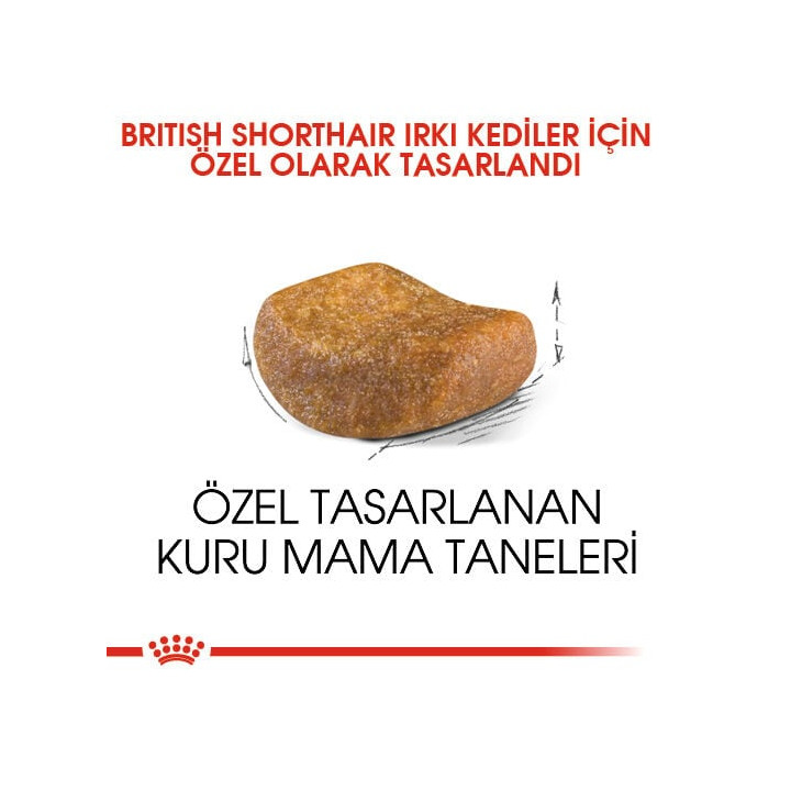 British Shorthair Adult Yetişkin Kedi Kuru Maması 4 kg