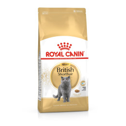 British Shorthair Adult Yetişkin Kedi Kuru Maması 10 kg