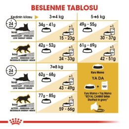 British Shorthair Adult Yetişkin Kedi Kuru Maması 10 kg