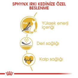 Sphynx Adult Yetişkin Kedi Kuru Maması 2 kg
