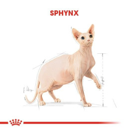 Sphynx Adult Yetişkin Kedi Kuru Maması 2 kg