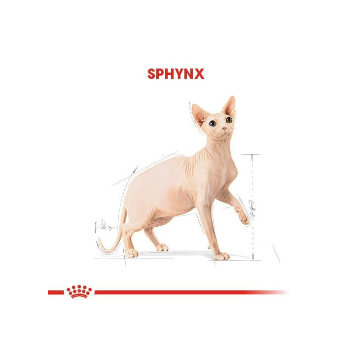 Sphynx Adult Yetişkin Kedi Kuru Maması 2 kg