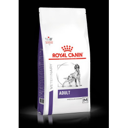 ADULT 10 kg