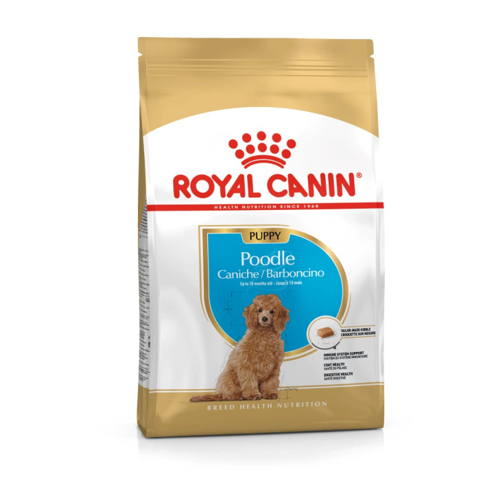 Poodle Puppy Yavru Köpek Kuru Maması 3 kg