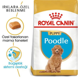 Poodle Puppy Yavru Köpek Kuru Maması 3 kg