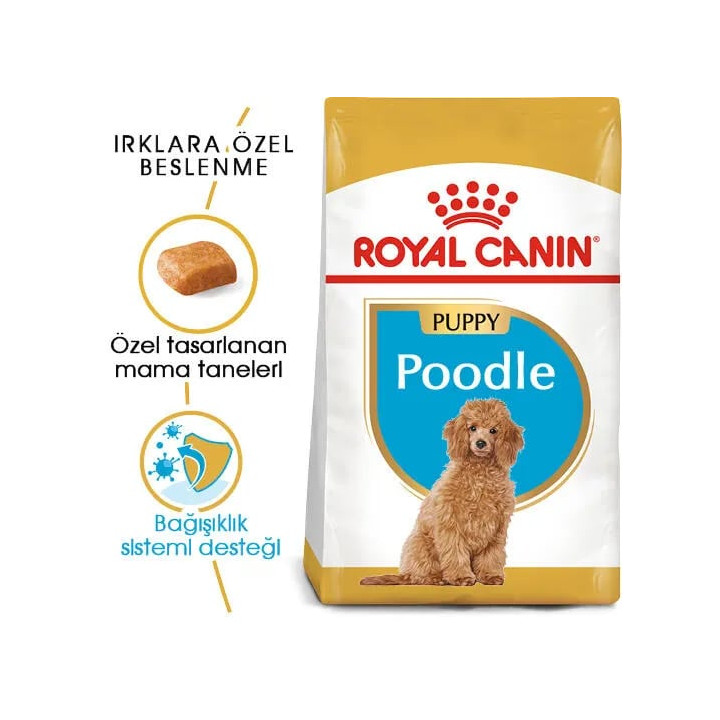 Poodle Puppy Yavru Köpek Kuru Maması 3 kg