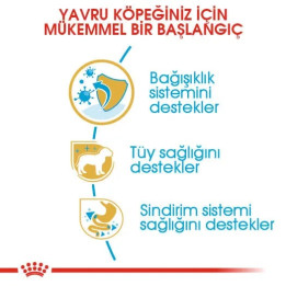 Poodle Puppy Yavru Köpek Kuru Maması 3 kg