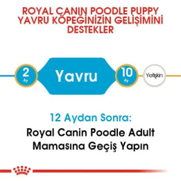 Poodle Puppy Yavru Köpek Kuru Maması 3 kg