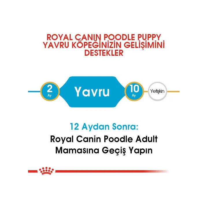 Poodle Puppy Yavru Köpek Kuru Maması 3 kg