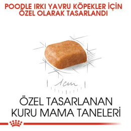 Poodle Puppy Yavru Köpek Kuru Maması 3 kg