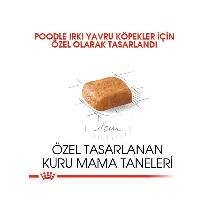 Poodle Puppy Yavru Köpek Kuru Maması 3 kg