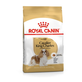 Cavalier King Charles Adult Yetişkin Köpek Kuru Maması 3 kg