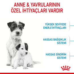 Mini Starter Yavru Köpek Kuru Maması 1 kg