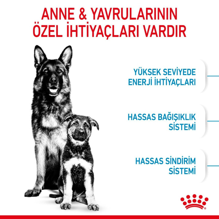 Maxi Starter Yavru Köpek Kuru Maması 15 kg