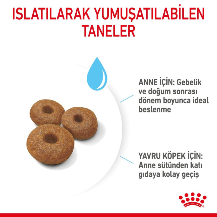 Maxi Starter Yavru Köpek Kuru Maması 15 kg