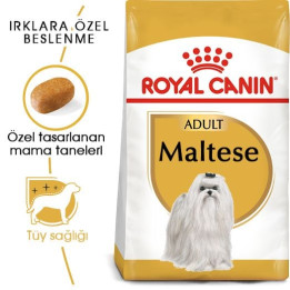 Maltese Adult Yetişkin Köpek Kuru Maması 1.5 kg