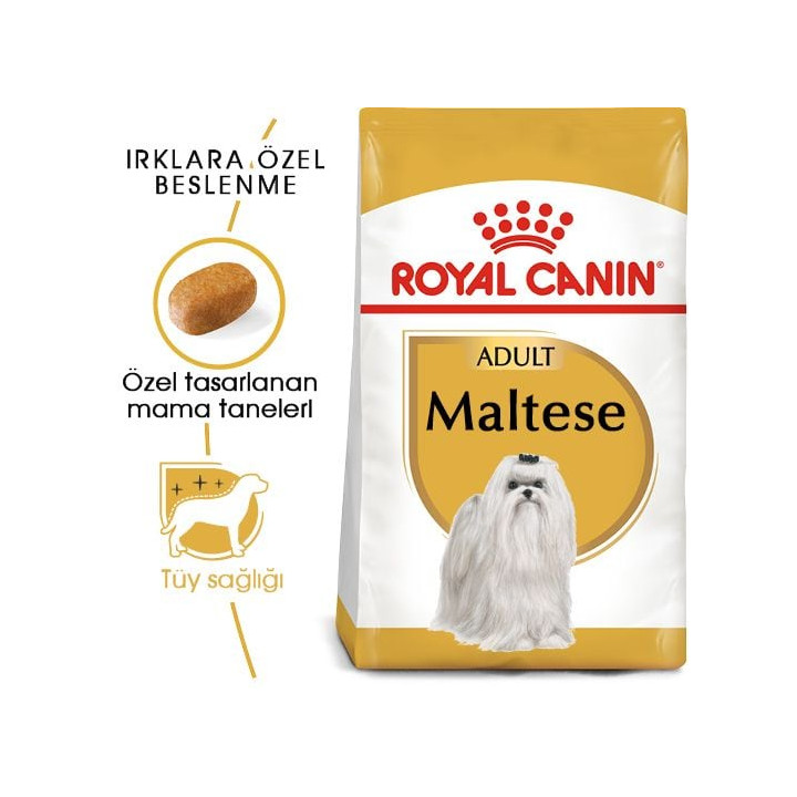Maltese Adult Yetişkin Köpek Kuru Maması 1.5 kg
