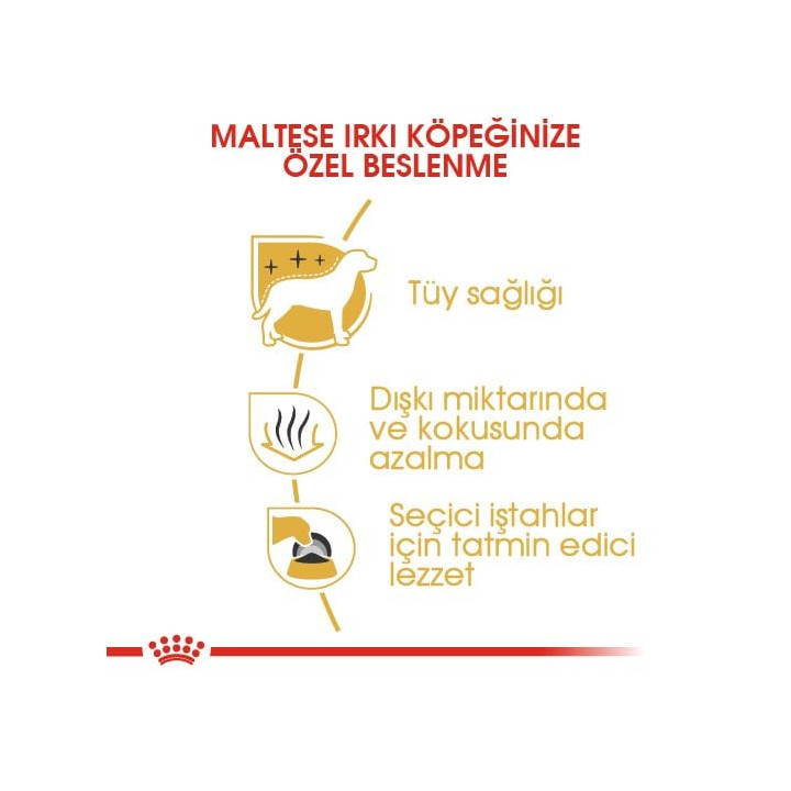 Maltese Adult Yetişkin Köpek Kuru Maması 1.5 kg